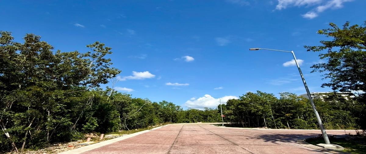 Foto de terreno habitacional en venta en  , delicias del sur, benito juárez, quintana roo, 0 No. 05