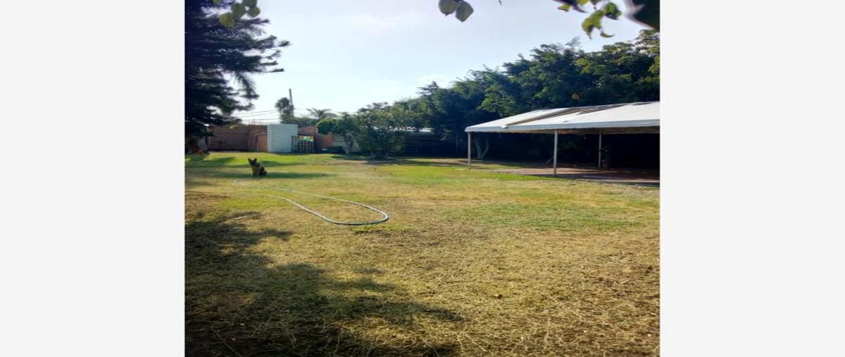 Foto de terreno habitacional en venta en delicias -, delicias, cuernavaca, morelos, 6883720 No. 01