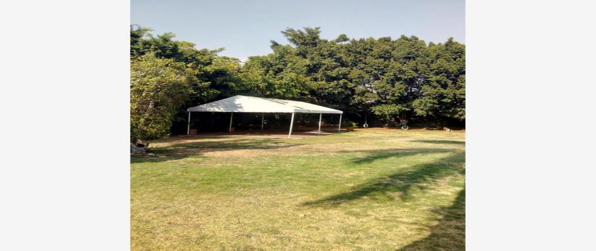 Foto de terreno habitacional en venta en delicias -, delicias, cuernavaca, morelos, 6883720 No. 03