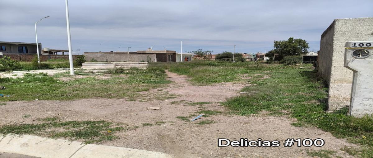 Foto de terreno habitacional en venta en delicias , la ciénega, durango, durango, 0 No. 05