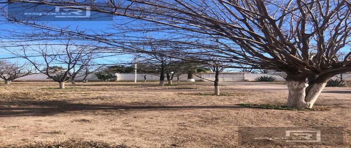 Foto de terreno habitacional en , delicias residencial, delicias, chihuahua, 24727374 foto 01 Foto de terreno habitacional en venta en , delicias residencial, delicias, chihuahua, 24727374 No. 01