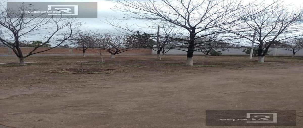 Foto de terreno habitacional en , delicias residencial, delicias, chihuahua, 24727374 foto 05 Foto de terreno habitacional en venta en , delicias residencial, delicias, chihuahua, 24727374 No. 05