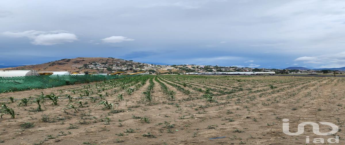Foto de terreno industrial en venta en denominado "silbato" , 20 de noviembre, cocotitlán, méxico, 28719426 No. 03