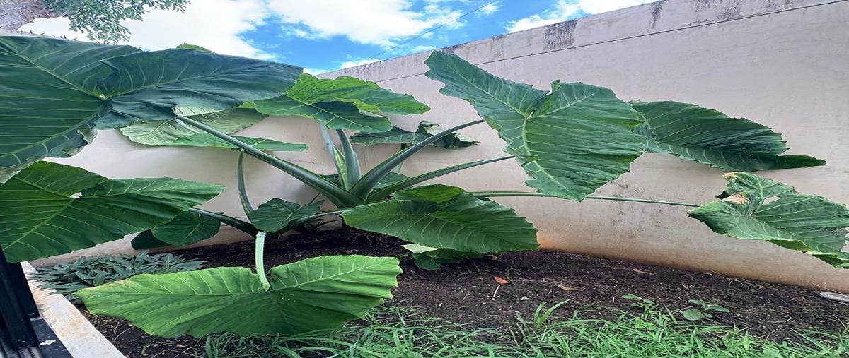 Foto de rancho en renta en dentro de merida , montebello, mérida, yucatán, 0 No. 06