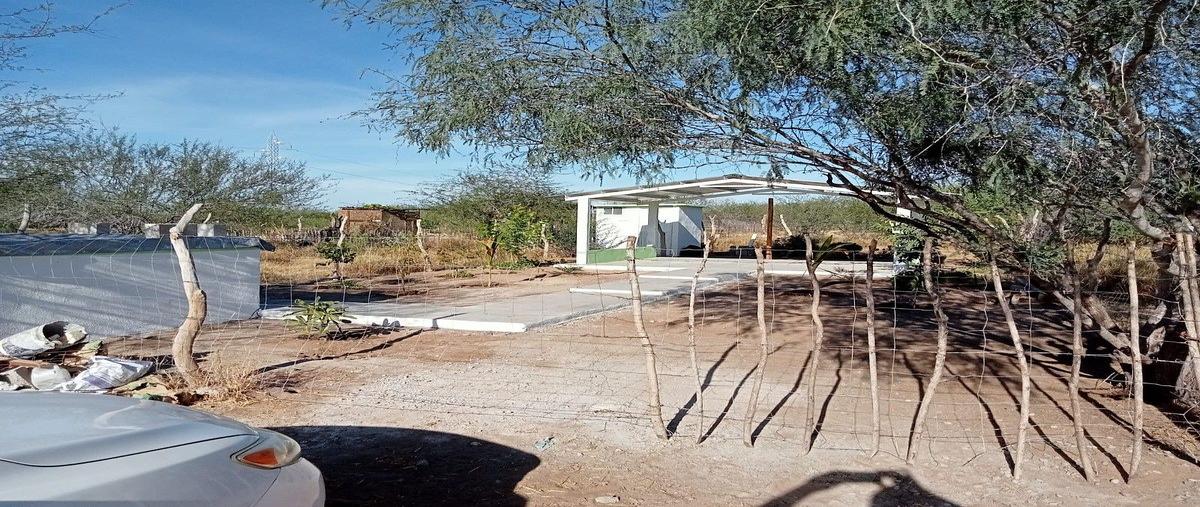 Foto de terreno habitacional en venta en dermatología , olas altas, la paz, baja california sur, 0 No. 04