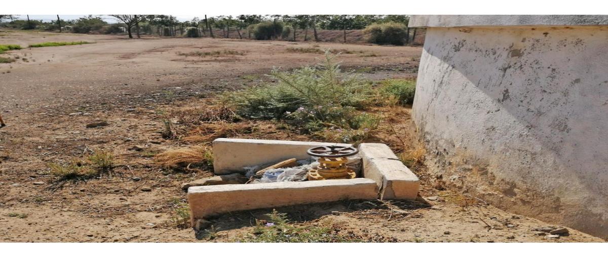 Foto de terreno habitacional en renta en  , derramadero, saltillo, coahuila de zaragoza, 0 No. 04