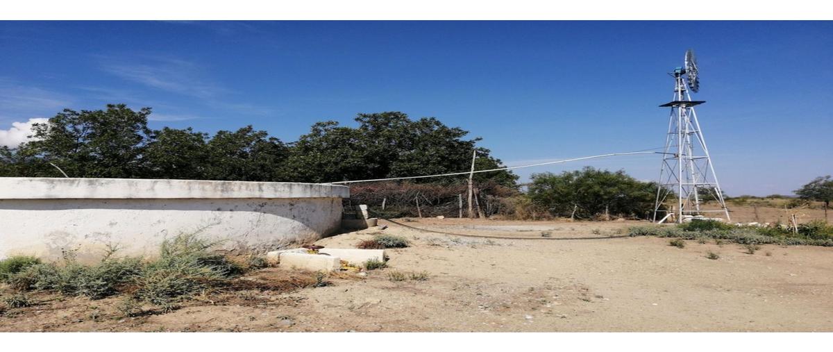 Foto de terreno habitacional en renta en  , derramadero, saltillo, coahuila de zaragoza, 0 No. 05