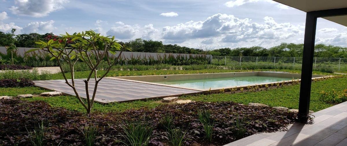 Foto de terreno habitacional en renta en desarrollo antaria , tixkuncheil, baca, yucatán, 18592822 No. 05