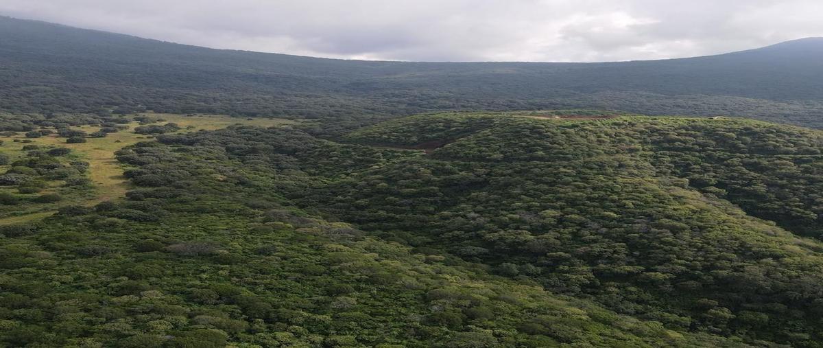 Foto de terreno habitacional en venta en desarrollo autosustentable madre tierra , teuchitlán, teuchitlán, jalisco, 28123996 No. 03