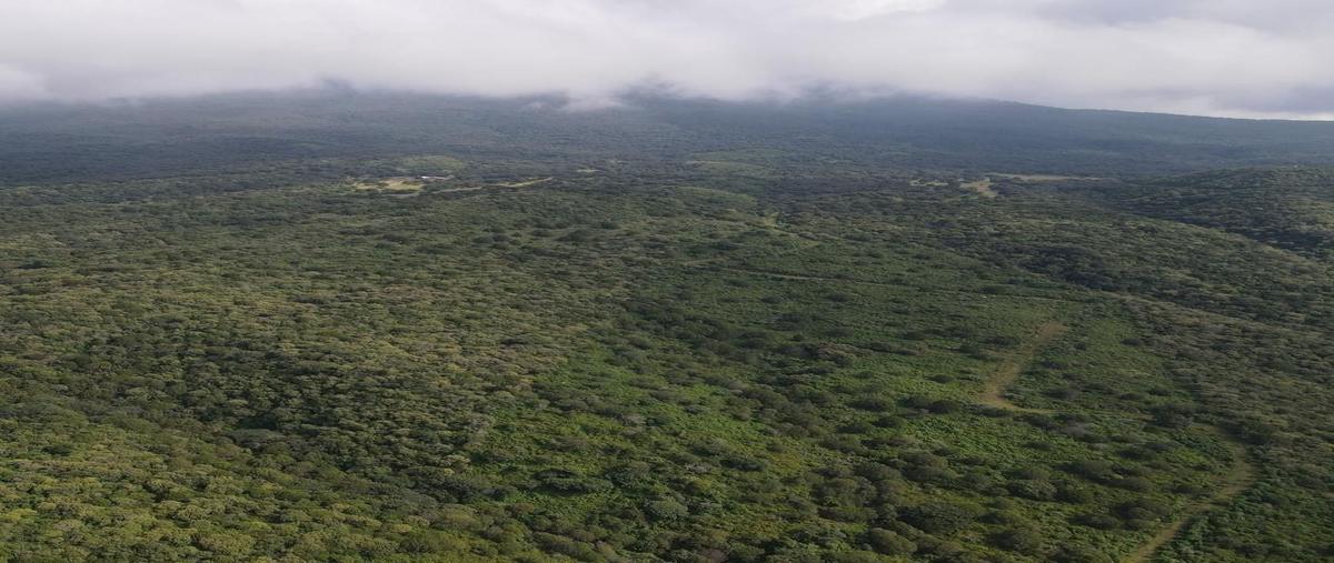Foto de terreno habitacional en venta en desarrollo autosustentable madre tierra , teuchitlán, teuchitlán, jalisco, 28123996 No. 04