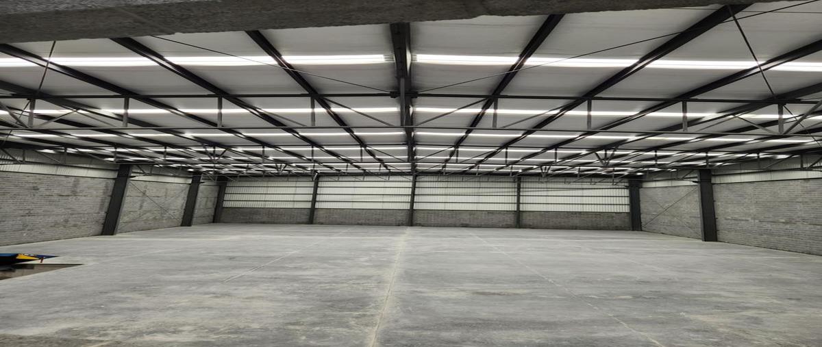 Foto de bodega en renta en  , desarrollo industrial monterrey, santa catarina, nuevo león, 30313821 No. 04