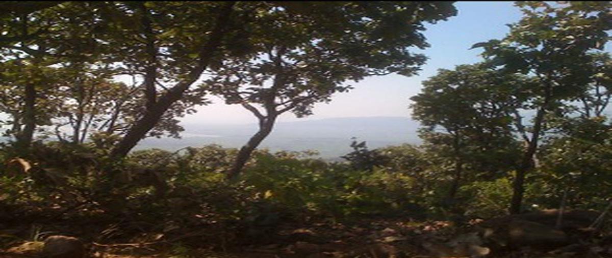 Foto de terreno habitacional en venta en "desarrollo tierra de dioses " lote , teuchitlán, teuchitlán, jalisco, 7720728 No. 04