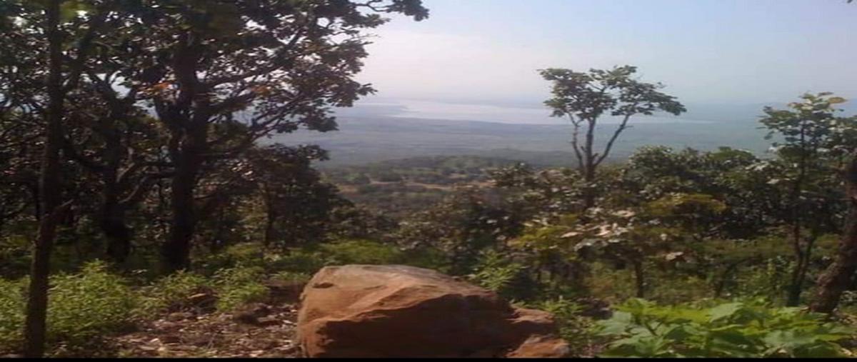 Foto de terreno habitacional en venta en "desarrollo tierra de dioses " lote , teuchitlán, teuchitlán, jalisco, 7720728 No. 05