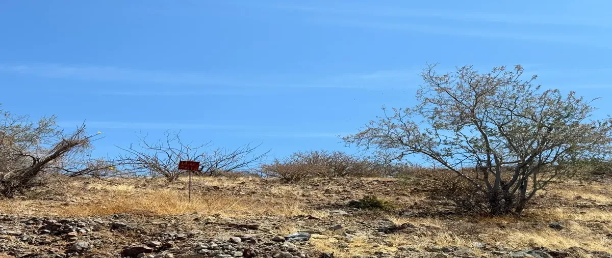 Foto de terreno habitacional en venta en desarrollo turistico maravia , puerto de pichilingue, la paz, baja california sur, 30144099 No. 04
