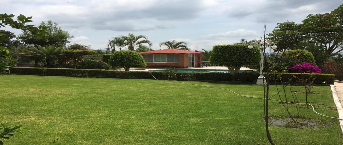 Foto de rancho en venta en desconocido , guadalupe victoria, zumpahuacán, méxico, 28394218 No. 04