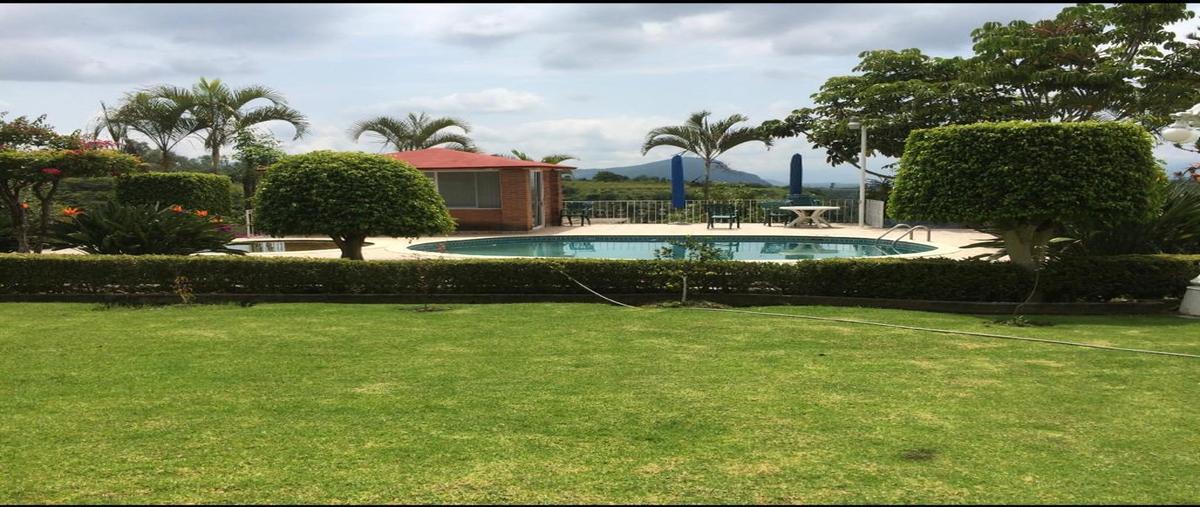 Foto de rancho en venta en desconocido , guadalupe victoria, zumpahuacán, méxico, 28394218 No. 05