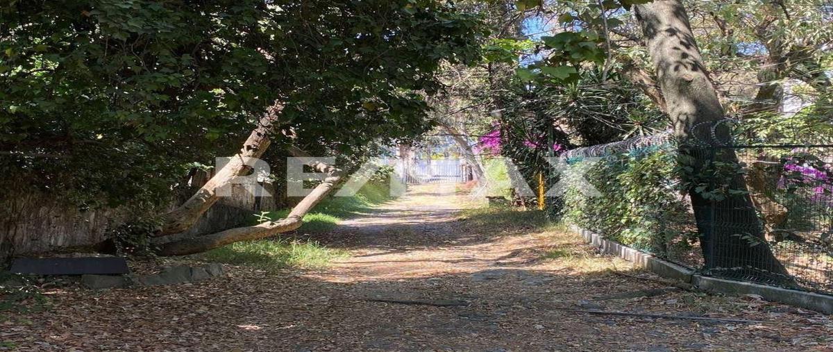 Foto de casa en venta en desierto de los leones , lomas de los cedros, álvaro obregón, df / cdmx, 0 No. 05