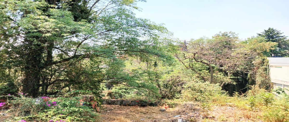 Foto de terreno habitacional en venta en desierto de los leones , tetelpan, álvaro obregón, df / cdmx, 28085639 No. 03