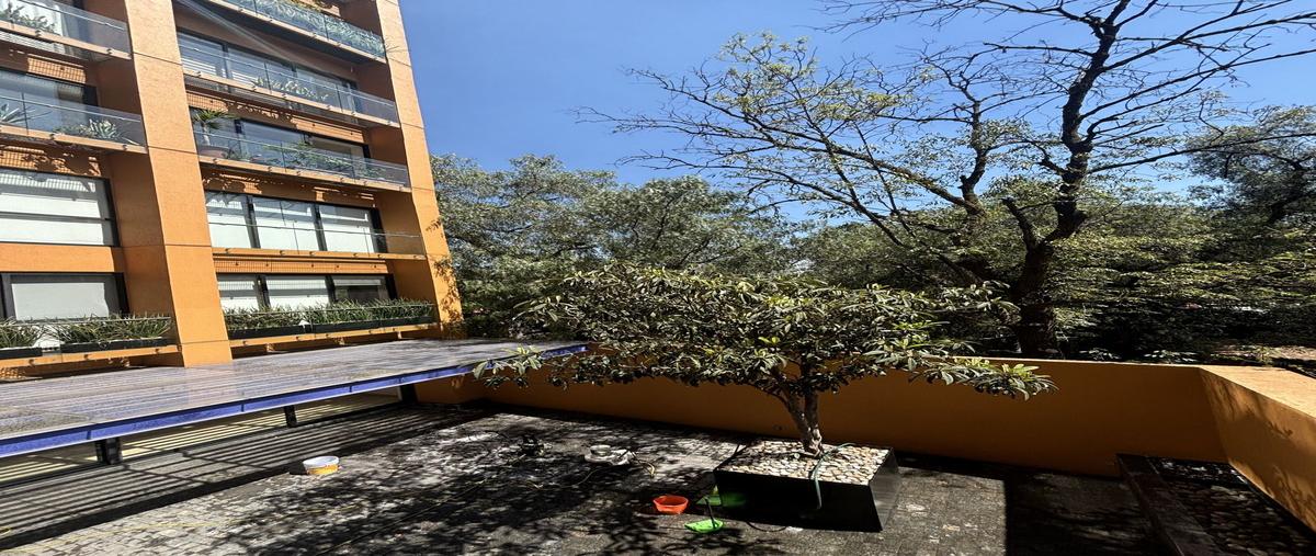 Foto de departamento en venta en desierto de los leones , tetelpan, álvaro obregón, df / cdmx, 0 No. 01