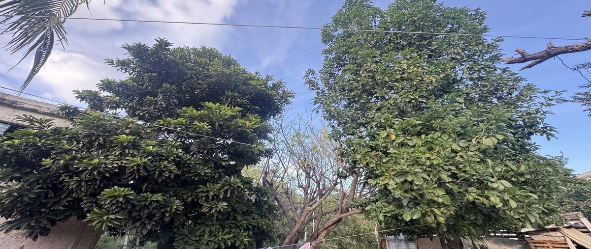 Foto de terreno habitacional en venta en diagonal 70 sur , ejidal, solidaridad, quintana roo, 29297295 No. 06