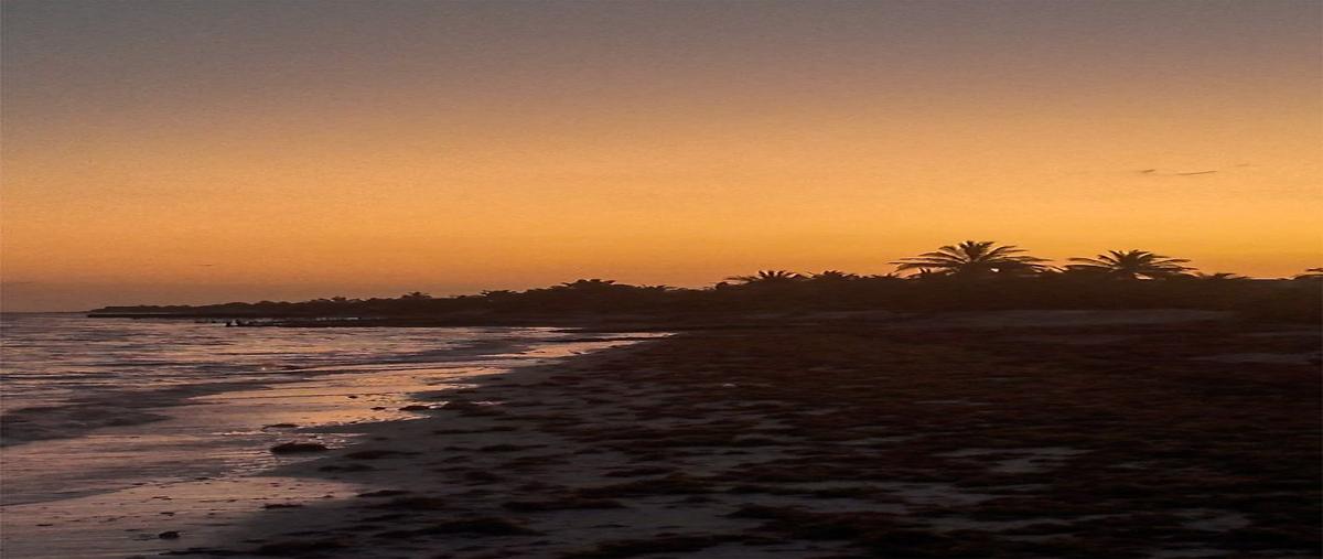 Foto de terreno habitacional en diana milan , chicxulub puerto, progreso, yucatán, 30923583 foto 04 Foto de terreno habitacional en venta en diana milan , chicxulub puerto, progreso, yucatán, 30923583 No. 04