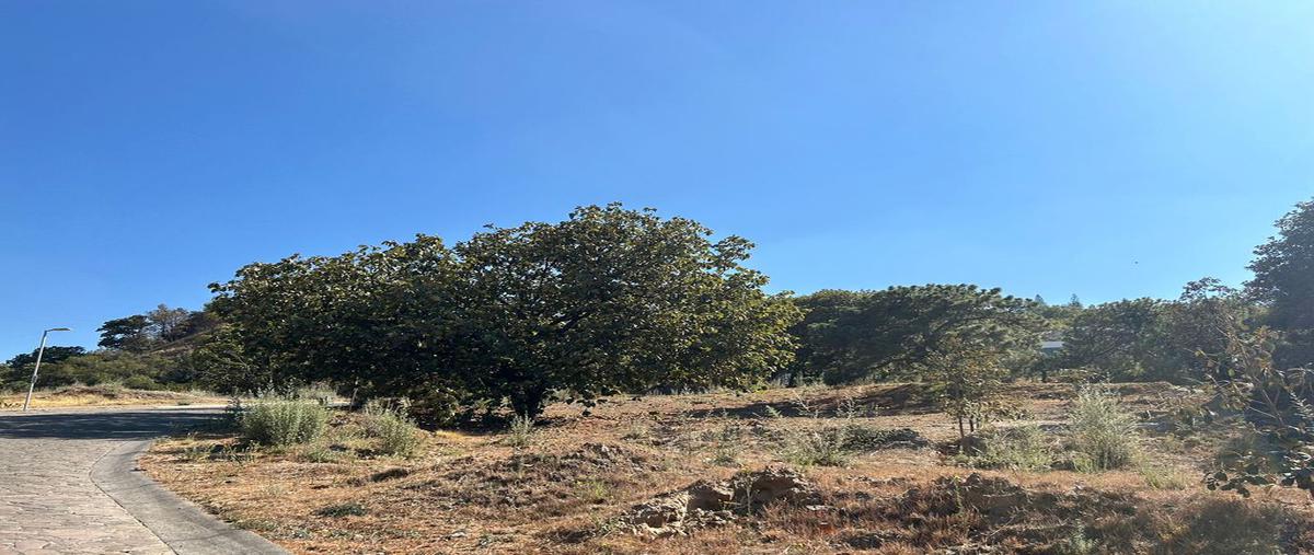 Foto de terreno habitacional en venta en diana natura residencial , pinar de la venta, zapopan, jalisco, 0 No. 03