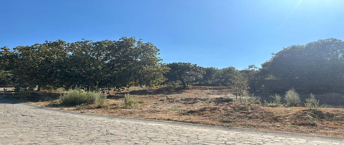Foto de terreno habitacional en venta en diana natura residencial , pinar de la venta, zapopan, jalisco, 0 No. 05