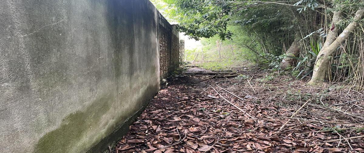 Foto de terreno habitacional en venta en días miron 22, la estanzuela, emiliano zapata, veracruz de ignacio de la llave, 27040698 No. 04