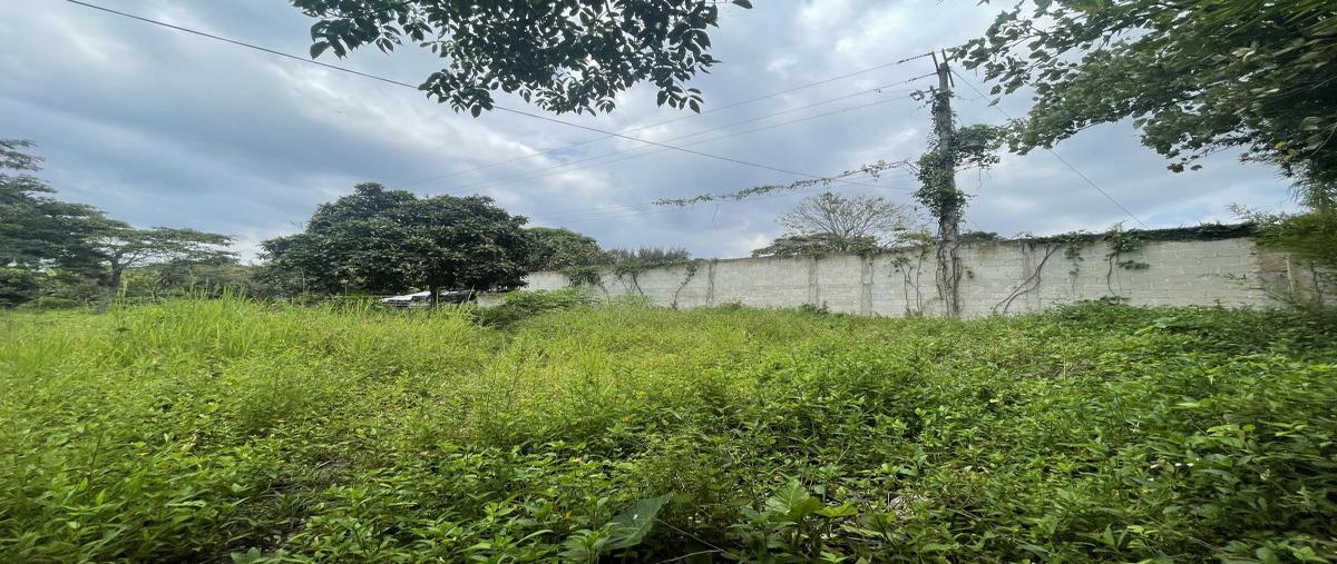 Foto de terreno habitacional en venta en días miron 22, la estanzuela, emiliano zapata, veracruz de ignacio de la llave, 27040698 No. 05