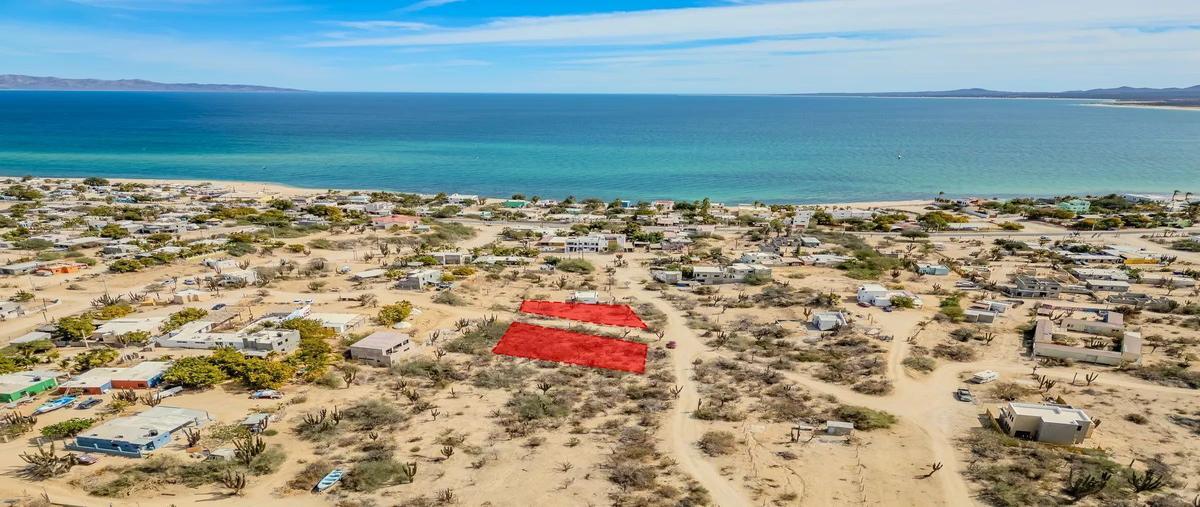 Foto de terreno habitacional en díaz castro , el sargento, la paz, baja california sur, 29748726 foto 04 Foto de terreno habitacional en renta en díaz castro , el sargento, la paz, baja california sur, 29748726 No. 04