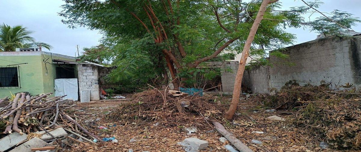Foto de terreno habitacional en venta en  , diaz ordaz, mérida, yucatán, 0 No. 04