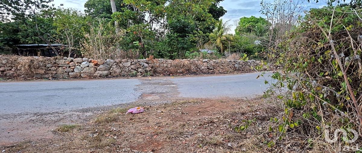 Foto de terreno habitacional en venta en diecinueve 133, san pedro, tenabo, campeche, 31028384 No. 03