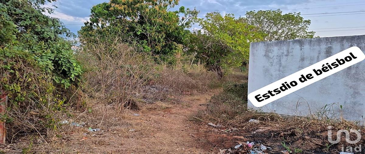 Foto de terreno habitacional en venta en diecinueve 91, san pedro, tenabo, campeche, 0 No. 04