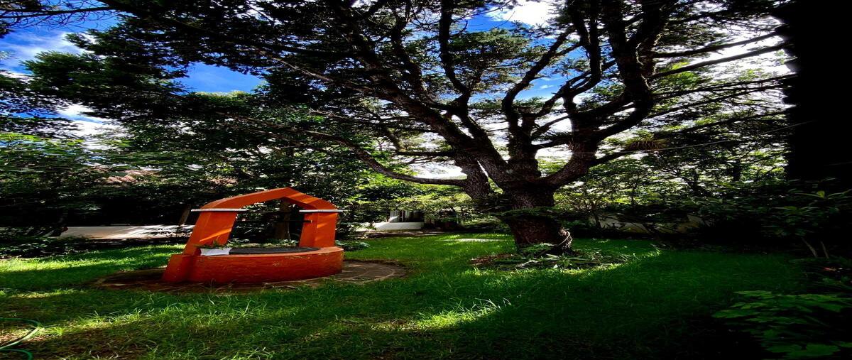 Foto de casa en renta en diego de mazariegos , san cristóbal de las casas centro, san cristóbal de las casas, chiapas, 28785595 No. 03