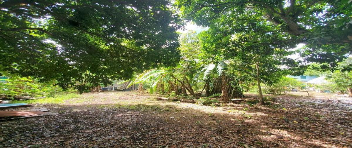 Foto de terreno habitacional en venta en  , diego rojas, bacalar, quintana roo, 0 No. 03