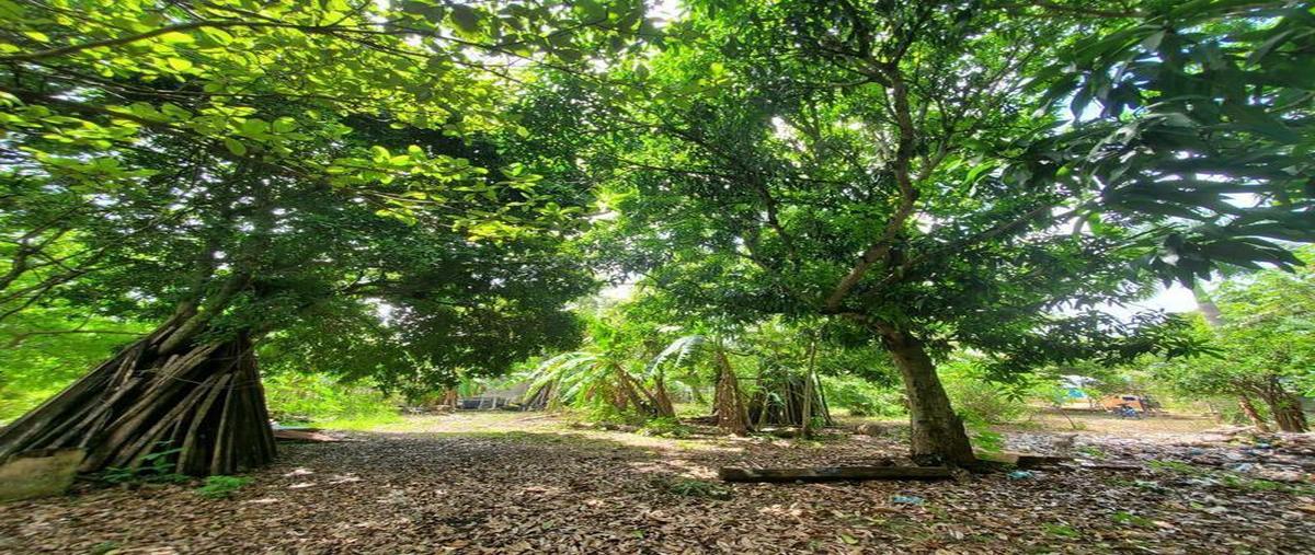 Foto de terreno habitacional en venta en  , diego rojas, bacalar, quintana roo, 30889681 No. 05