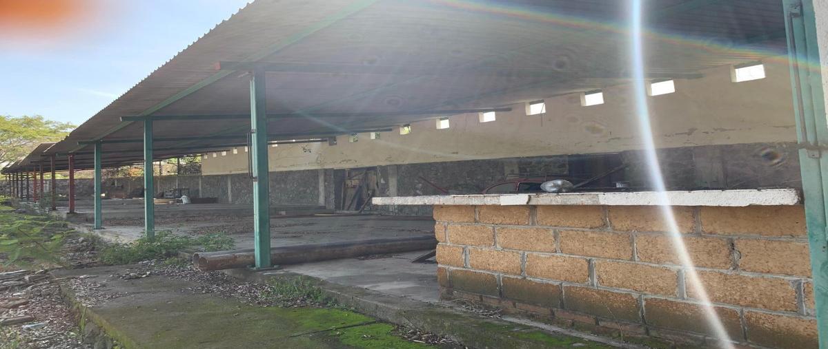 Foto de terreno habitacional en venta en  , diego ruiz, yautepec, morelos, 0 No. 01