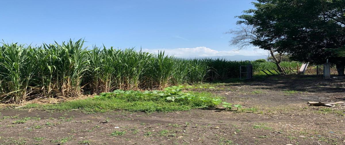 Foto de terreno habitacional en venta en  , diego ruiz, yautepec, morelos, 0 No. 04