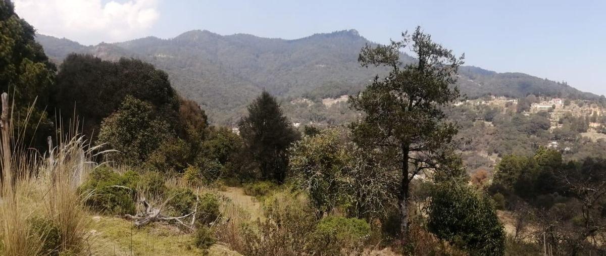 Foto de terreno habitacional en venta en  , dificultad, mineral del monte, hidalgo, 24854291 No. 03