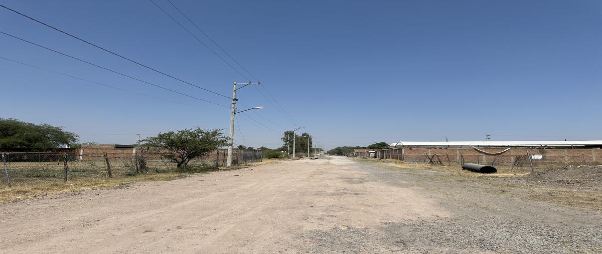Foto de terreno habitacional en venta en divisadero , santa cruz del valle, tlajomulco de zúñiga, jalisco, 28095713 No. 04