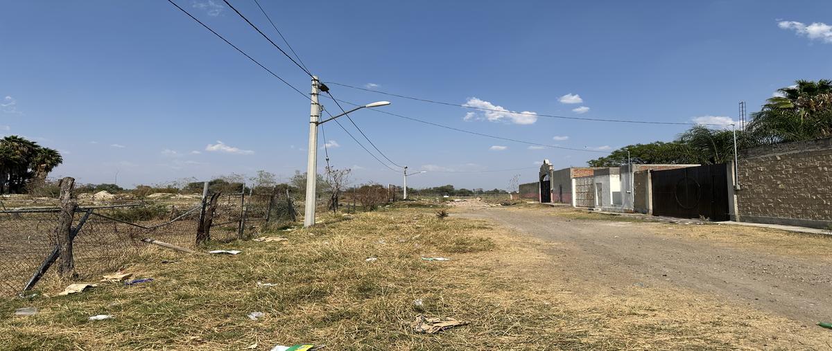 Foto de terreno habitacional en venta en divisadero , santa cruz del valle, tlajomulco de zúñiga, jalisco, 28099477 No. 05