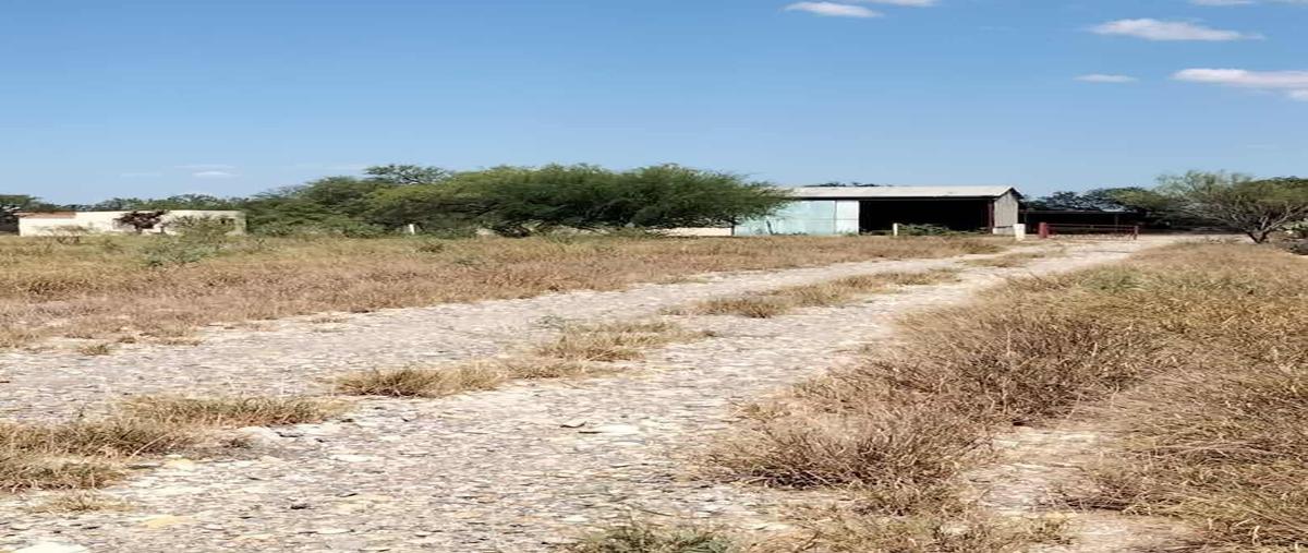 Foto de rancho en venta en doctor coss , general bravo centro, general bravo, nuevo león, 0 No. 03