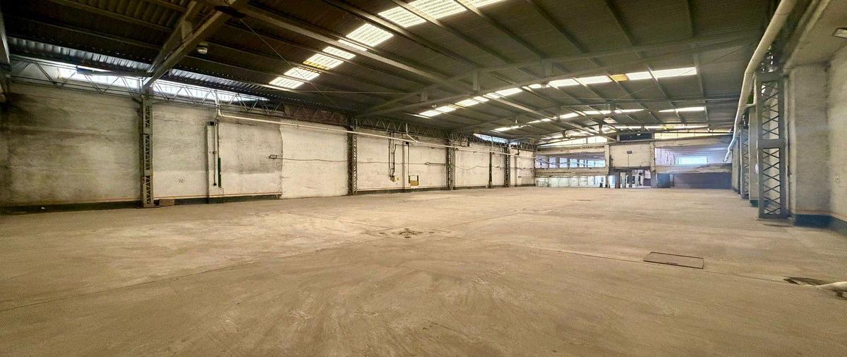 Foto de bodega en renta en doctor erazo , doctores, cuauhtémoc, df / cdmx, 30743878 No. 04