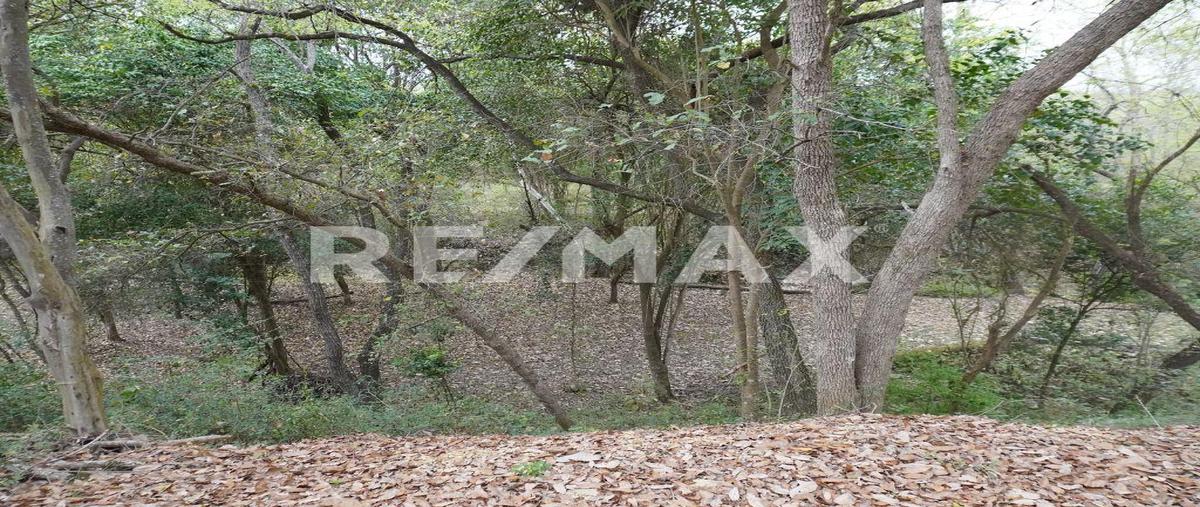 Foto de terreno habitacional en venta en doctor gonzalez , huajuquito o los cavazos, santiago, nuevo león, 0 No. 04