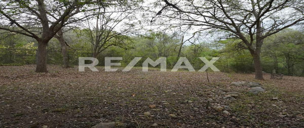 Foto de terreno habitacional en venta en doctor gonzalez , huajuquito o los cavazos, santiago, nuevo león, 0 No. 05