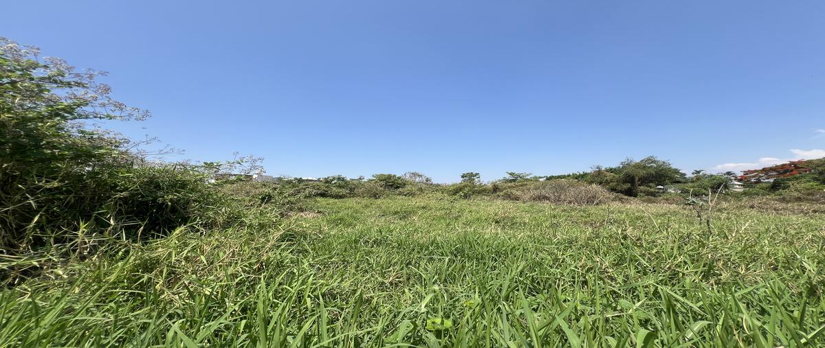 Foto de terreno habitacional en venta en doctor josé parres , josé g parres, jiutepec, morelos, 31427620 No. 03
