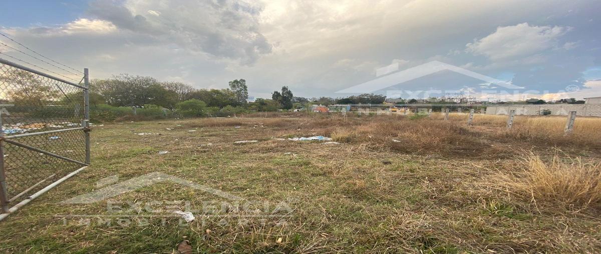 Foto de terreno comercial en renta en  , doctor miguel silva gonzález, morelia, michoacán de ocampo, 23737041 No. 03