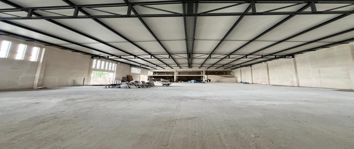 Foto de bodega en renta en  , doctores, benito juárez, quintana roo, 28692763 No. 04