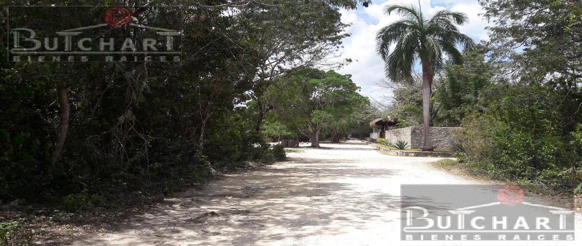 Foto de terreno habitacional en venta en  , doctores ii, benito juárez, quintana roo, 0 No. 05