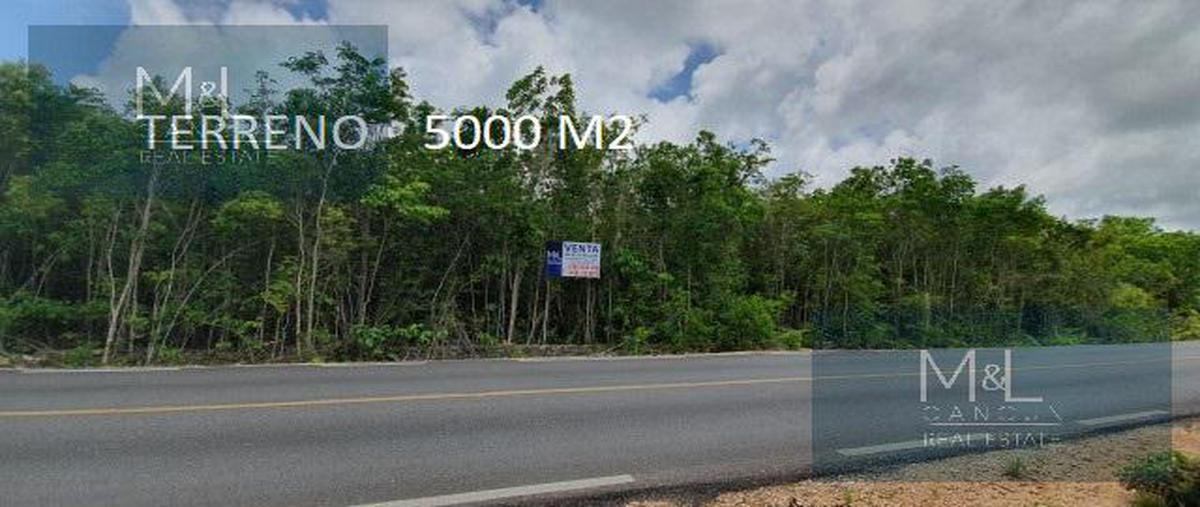 Foto de terreno habitacional en , doctores ii, benito juárez, quintana roo, 6999518 foto 01 Foto de terreno habitacional en venta en , doctores ii, benito juárez, quintana roo, 6999518 No. 01
